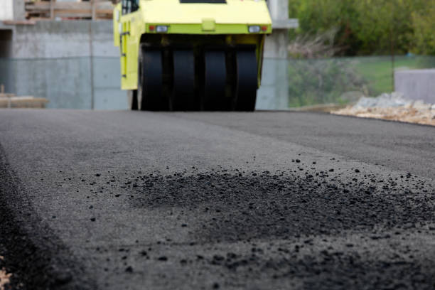 Best Decorative Driveway Pavers  in Watertown Town, MA