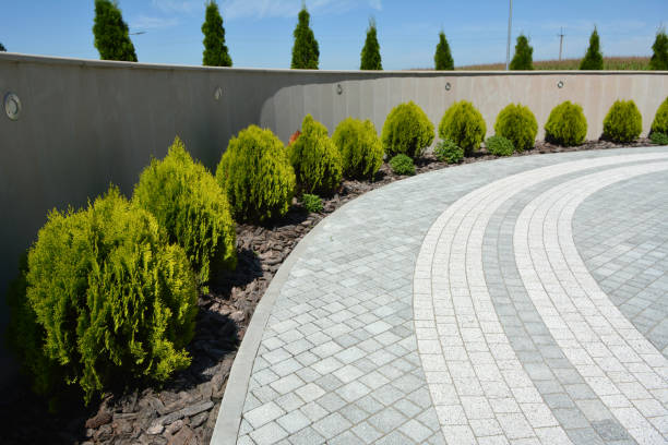 Best Best Driveway Pavers  in Watertown Town, MA